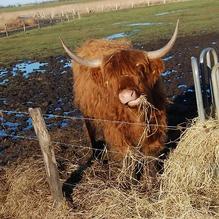Harlaender * Petersdorf auf Fehmarn